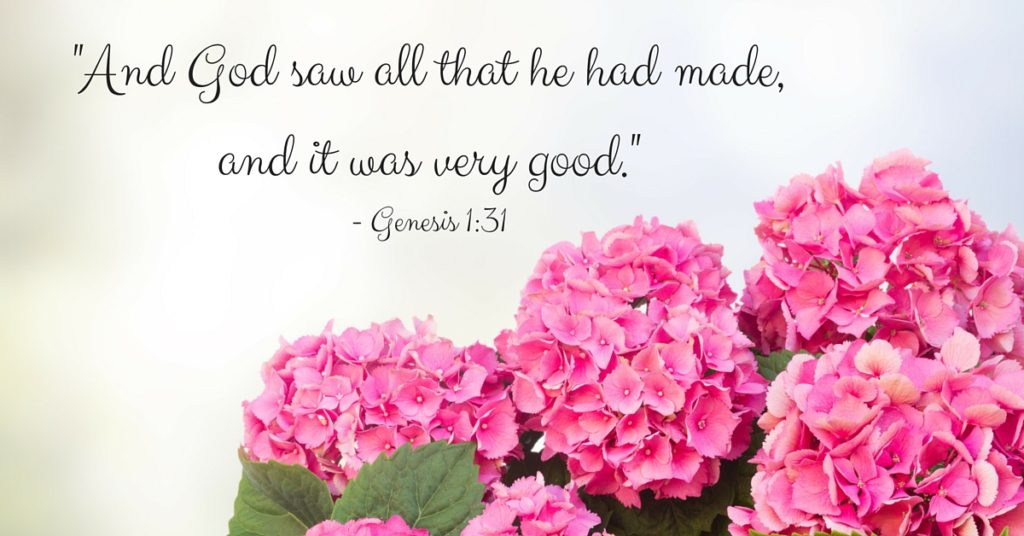 -And God saw all that he had made, and it was very good.--Genesis 1-31